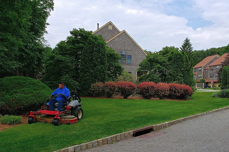 Landscape Maintenance services - Professional landscape maintenance work examples